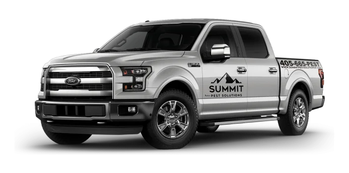 summit truck 1