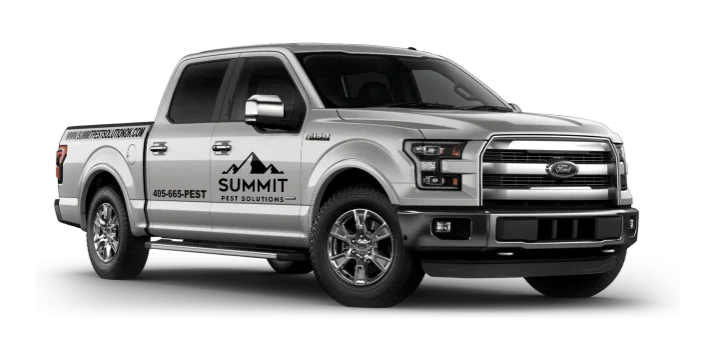 summit truck 2